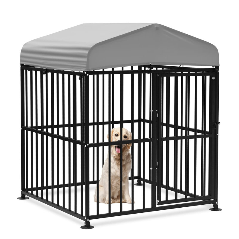 Outside dog cages for sale best sale